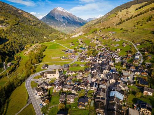 an aerial view of a village in the mountains at Swiss Alps Coliving Community Stay for Remote Workers in Liddes