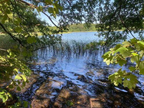 a view of a lake through the branches of trees at Haus am Lübbesee in Templin