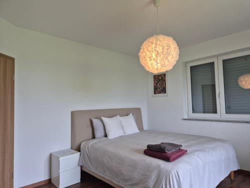 a bedroom with a bed and a chandelier at JM Swiss Space in Langrickenbach