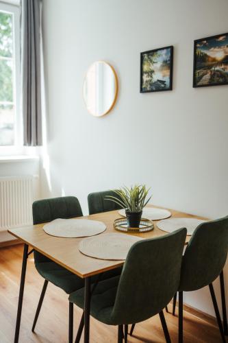a dining room table with chairs and a potted plant on it at Apartmány J&J in Šumperk