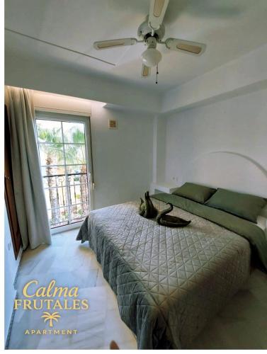 Calma FRUTALES Apartment