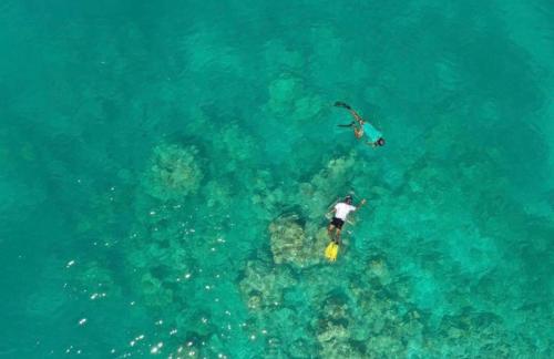 an overhead view of a person swimming in the ocean at Rihiveli inn 