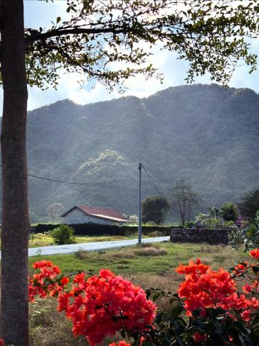 a field of red flowers with a mountain in the background at Casa Samudra - charming & spacious villa by the sea surrounded by nature in Selong Belanak