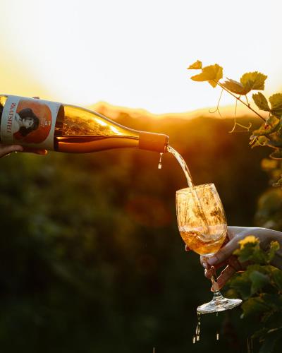 a bottle of wine being poured into a wine glass at Nekresi Estate in Kvareli