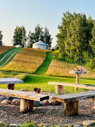 two wooden benches in a field with a bird feeder at Szumi Brzoza in Osieczek Piwnice