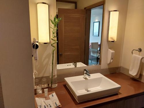 a bathroom with a sink and a large mirror at Efcee Sarovar Premiere Bhavnagar in Bhavnagar
