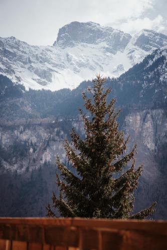 a christmas tree sitting on top of a mountain at Hidden Retreats The Signature in Brienzwiler