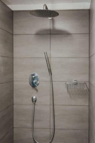 a shower with a shower head in a bathroom at Hidden Retreats The Signature in Brienzwiler