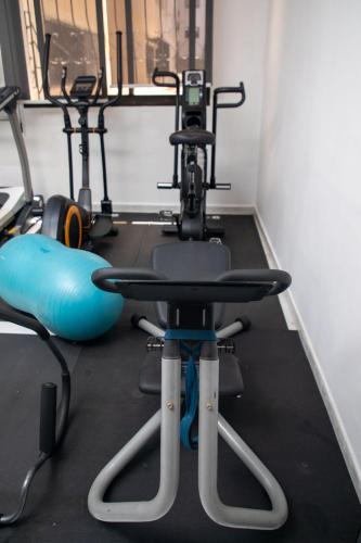 Fitness centrum a/nebo fitness zařízení v ubytování Hôtel Texuda