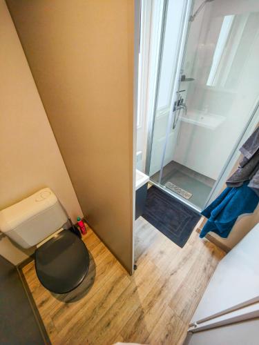 a small bathroom with a toilet and a shower at Mobilhome 6p camping le bois dormant in Quend-Plage