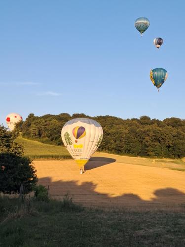 a group of hot air balloons flying over a field at LES COTEAUX DE VIGNY in Champagne-de-Blanzac