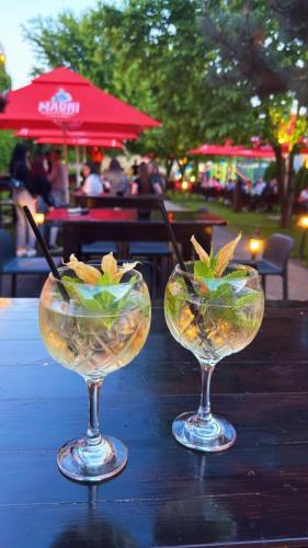 two martini glasses sitting on top of a table at AllEia rooms in Sebeş