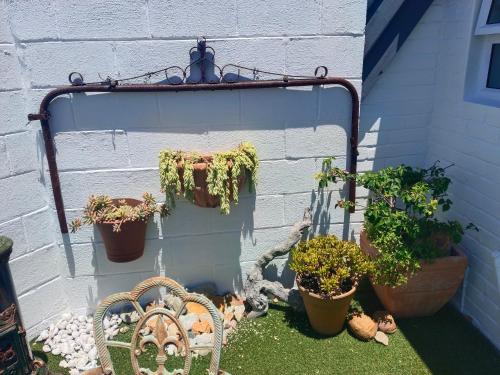 a garden with potted plants on a wall at Scenic Bliss Holiday Home in Kleinmond