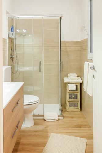 a bathroom with a shower and a toilet and a sink at Appartamenti Nella in Trappeto