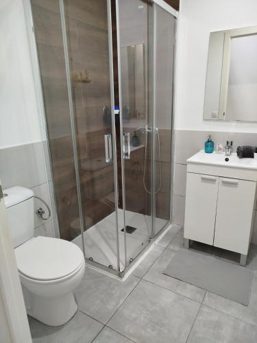 a bathroom with a shower and a toilet and a sink at Hostal Urban Basic in Hospitalet de Llobregat