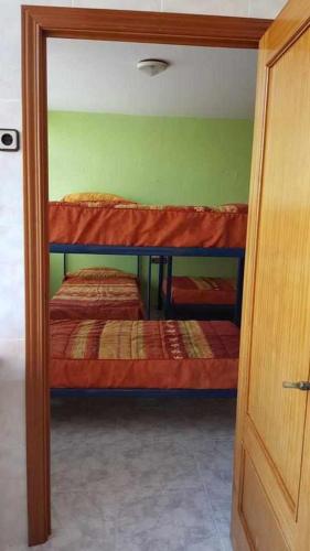 two bunk beds in a room with a green wall at Albergue Ciudad del Doncel in Sigüenza