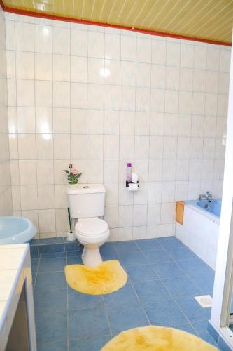a bathroom with a toilet and a sink and a tub at Guyana Guest House in Naivasha