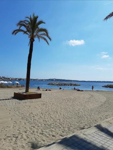 un palmier sur une plage avec des gens dans l'eau dans l'établissement Appartement de charme à 2 min de la plage, à Vallauris