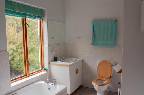 a bathroom with a toilet and a sink and a window at Yellowwood Place in Bettyʼs Bay