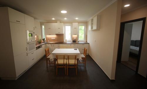 Η κουζίνα ή μικρή κουζίνα στο Szemerey Pince Apartman