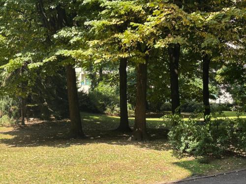 Garden Home Procaccini