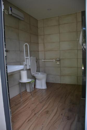a bathroom with a toilet and a sink at Turistična kmetija Pod kostanji - FarmStay Pod kostanji in Motnik