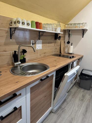 Kuchyň nebo kuchyňský kout v ubytování Apartmán u Ještěrky se saunou v ceně, Rejvízská 29, Jeseník