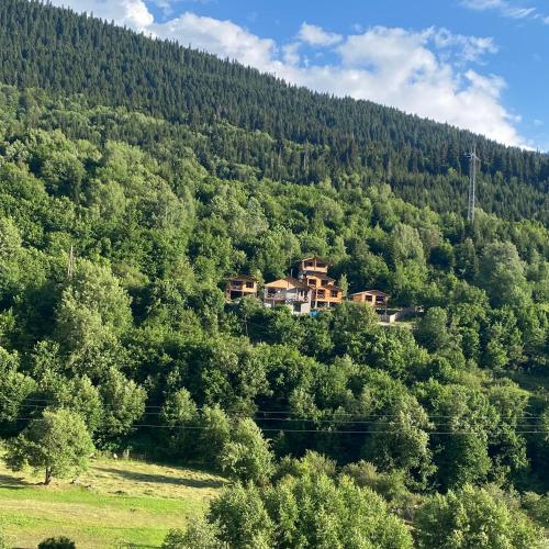 a house on a hill in the middle of a forest at COTTAGE cozy side in Mestia