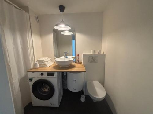 ハープサルにあるCompact apartment in Haapsaluの洗面台と洗濯機を備えたバスルーム