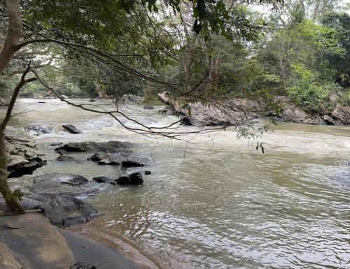 a river with some rocks in the water at Exciting Tree house and 2 Chalets, Spring valley farm stay Buttala, Okkampitiya 