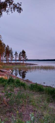 a large body of water with trees in the background at Villa Iltaranta - Cottage on the shore of Lake Saimaaa in Savonlinna