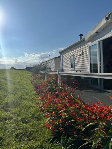 a row of red flowers next to a trailer at Luxury Holiday Home in Anderby Creek in Anderby