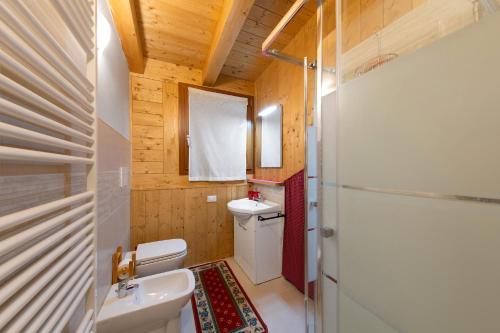 a bathroom with a white toilet and a sink at La Casa dei Cervi a Vinigo in Vodo Cadore