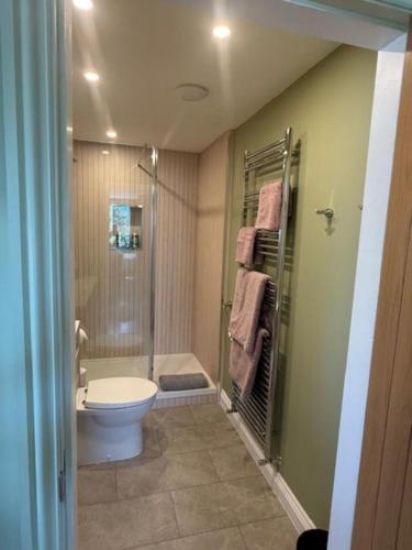 Un baño con ducha, inodoro y lavabo. en The Stables @ The Forge Cronk Y Voddy, en Saint Johns