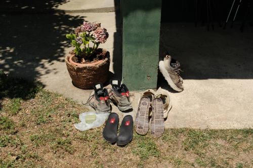 a group of pairs of shoes and a potted plant at La Casa Verde Albergue - Solo Peregrinos in San Martín del Camino