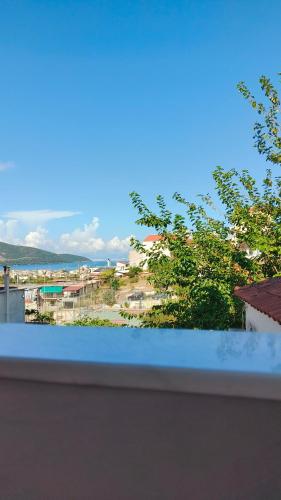 Οδυσσέας & Σοφία