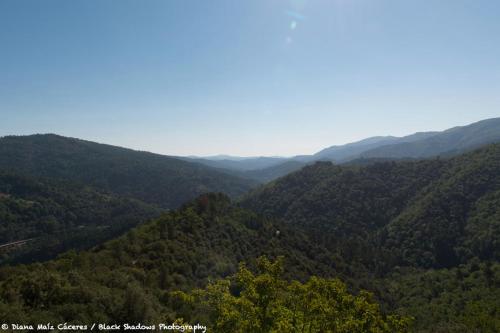 a view of a valley of trees and mountains at La vallée de Gaïa in Saint-Hilaire-de-Lavit