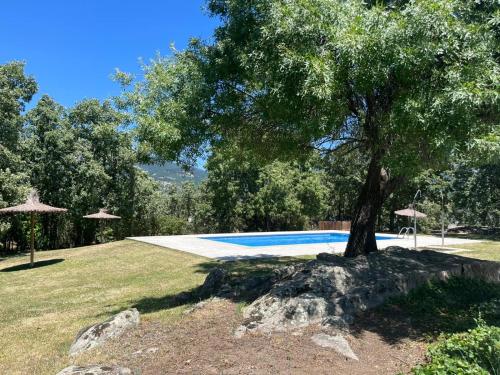 a tree sitting next to a swimming pool at Casa Mama Puchi in Cercedilla