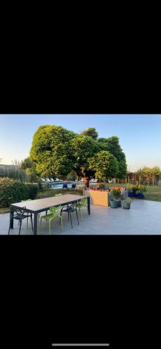 una mesa de picnic y bancos en un parque en Logements chaleureux dans Maison avec piscine à 35 min de LYON, en Alix