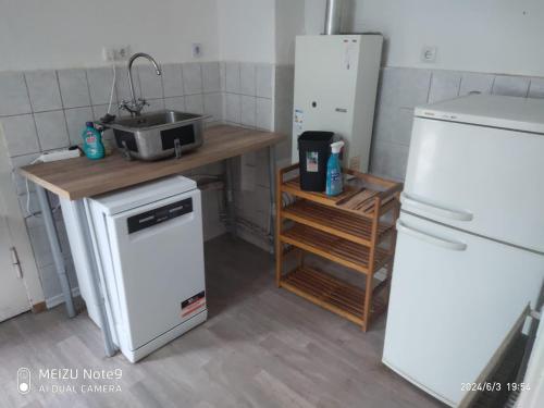 a kitchen with a white refrigerator and a sink at Appartement mit Garten zentrumnah in Schwerin