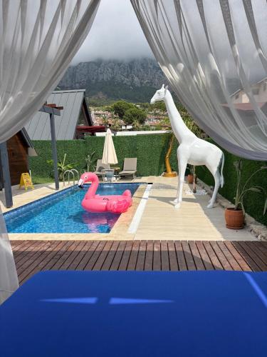 Kolam renang di atau dekat dengan Nirvana Bungalows