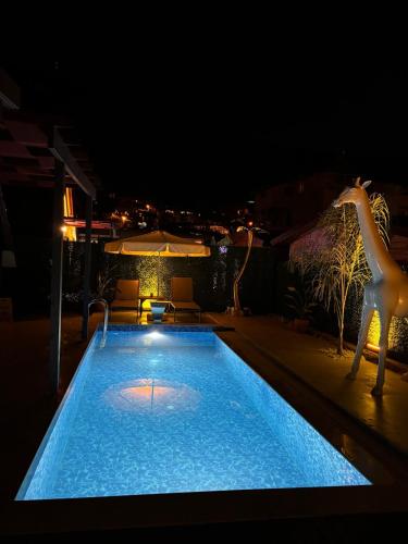 Kolam renang di atau dekat dengan Nirvana Bungalows