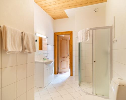 a bathroom with a shower and a sink at Slėnis Trakuose in Trakai