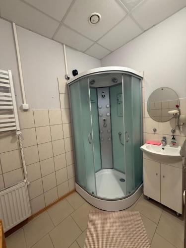 a bathroom with a shower and a sink at Apartamenti Upesgrīvā in Upesgrīva