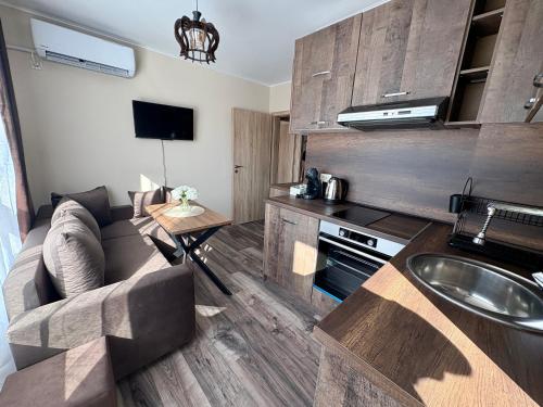 cocina con sofá y lavabo en una habitación en Historic Center Apartment, en Ruse