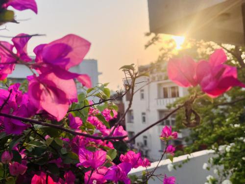 Fotografie z fotogalerie ubytování Thikana Delhi ( Boutique B&B) v Novém Dillí