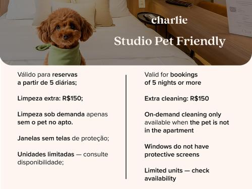 a picture of a dog sitting on a bed at House of Charlie Paraiso in Sao Paulo