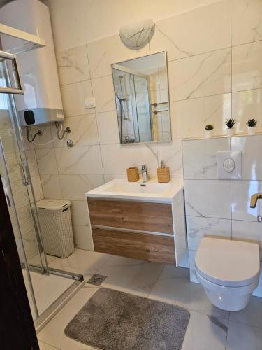 a bathroom with a sink and a toilet and a mirror at Apartmani Anna in Omišalj
