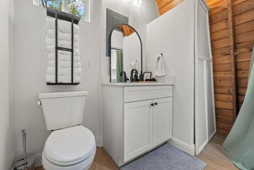 a bathroom with a toilet and a sink and a mirror at Cozy Mtn Cabin - Epic Views - Hot Tub - Fire Pit in Midway