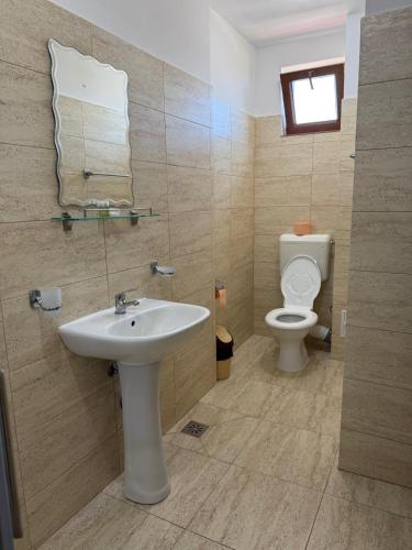 a bathroom with a sink and a toilet at Pensiunea Bianca in Murighiol